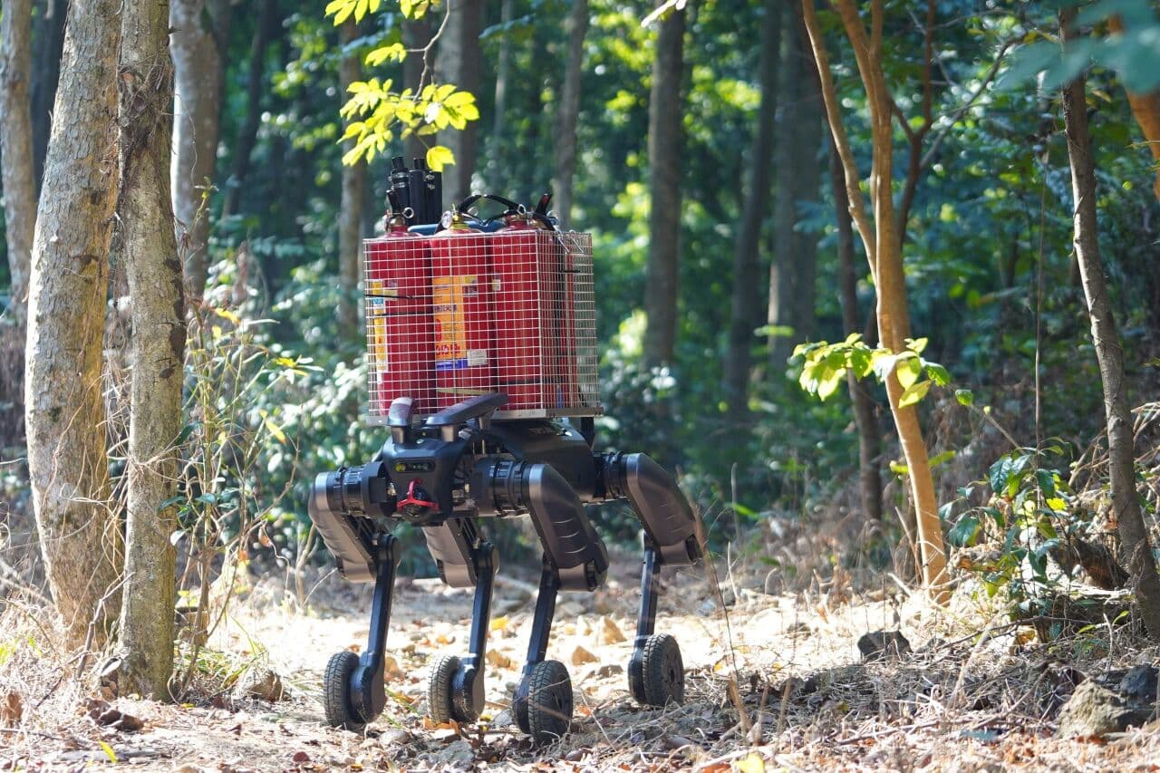 �й���������