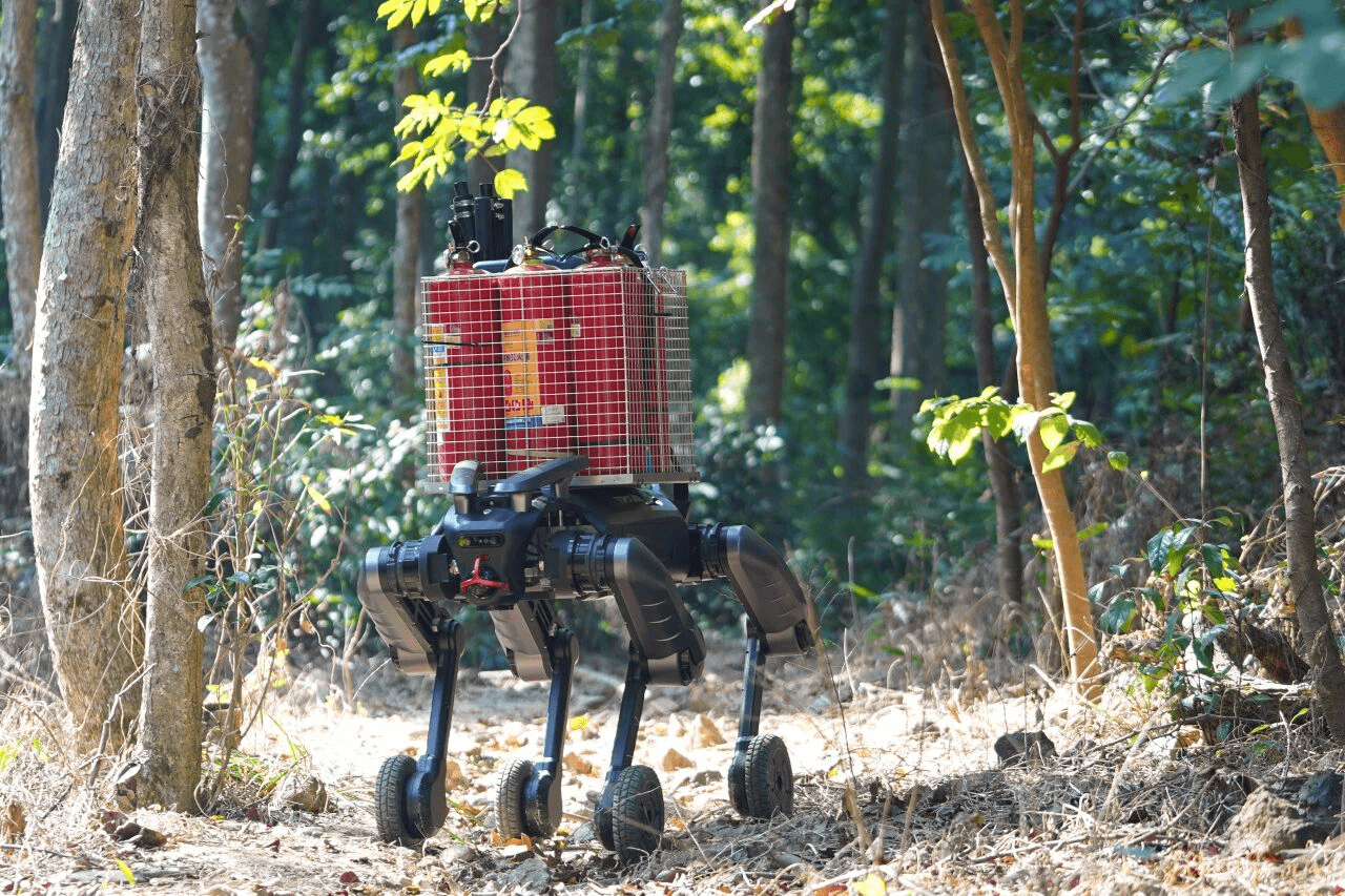 �й���������